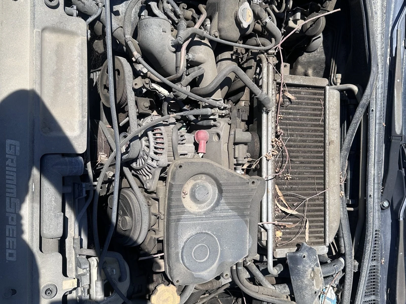 A dusty Subaru boxer engine bay on a Hemet job with dry leaves caught in the top mount intercooler